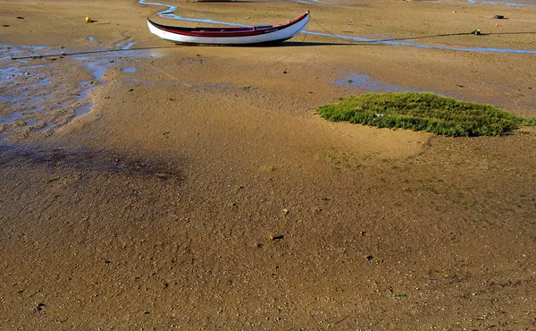 Ria formosa barcos —  Fotos de Stock