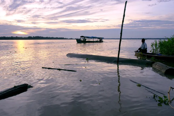 Amazon nehri manzarası — Stok fotoğraf