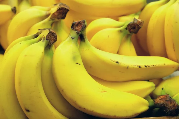 stock image Bananas