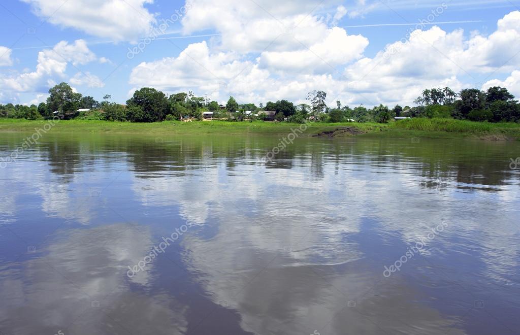 Amazon river landscape