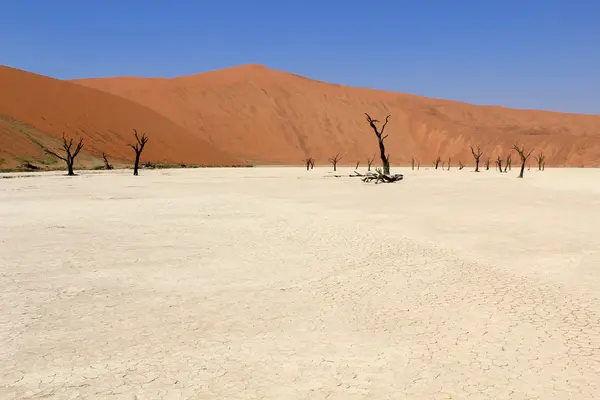 Sossusvlei mrtvé údolí krajina v nanib poušti poblíž sesrie — Stock fotografie