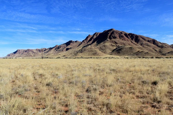 Trawiaste sawanny z górami w tle, namib naukluft par — Zdjęcie stockowe