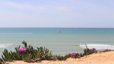 Algarve kıyısında senaryo