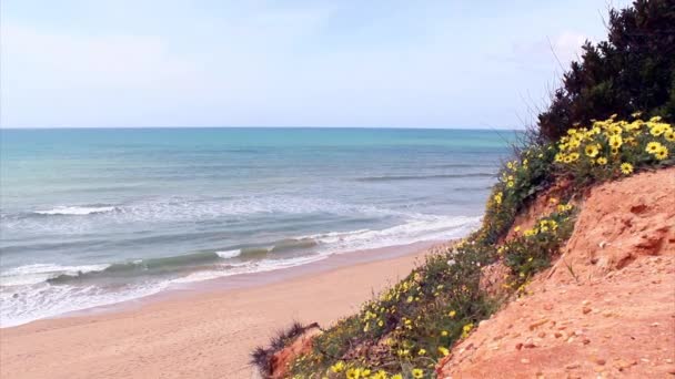 Západní pláž scénář algarve — Stock video