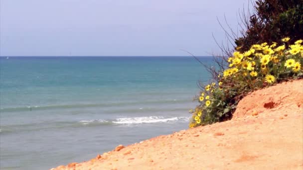 Western Algarve beach scenario — Stock Video