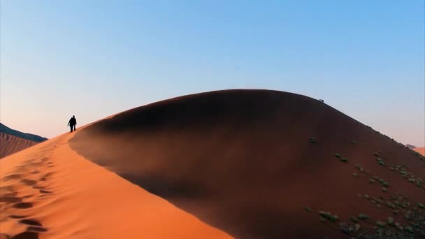 Trekking dune "45" in the Namib Desert, Sossusvlei, Namibia — Stock Video