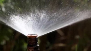 Bahçe Sulama sprey sistemi