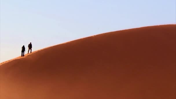 Trekking una duna di sabbia nel deserto del Namib, Sossusvlei . — Video Stock