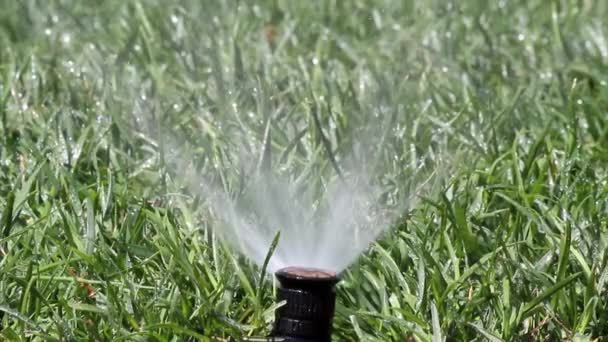 Automatisches Gartenbewässerungssystem zur Rasenbewässerung — Stockvideo