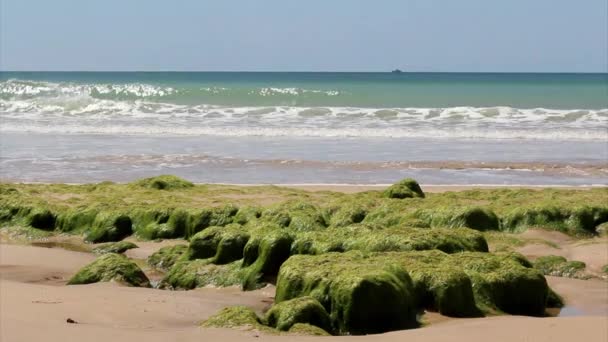Vågorna i Atlanten seglar utmed kusten av st.eulalia beach, algarve. — Stockvideo