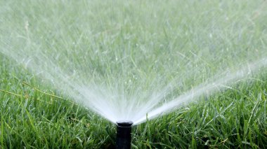 Garden Irrigation Sprinkler watering lawn clipart