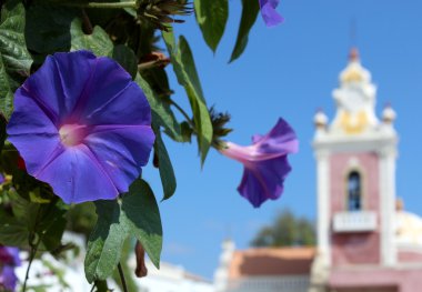 Ipomoea purpurea flower and Palace of Estoi chapel in background clipart