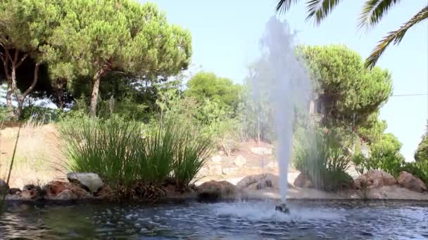 Ornamental garden fountain flowing nozzle — Stock Video