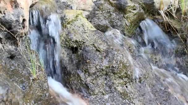 Ornamental garden stream flowing fresh water — Stock Video