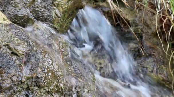 Jardín ornamental de la corriente que fluye agua dulce — Stockvideo