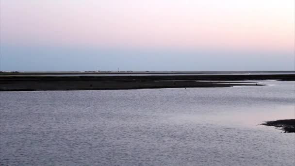 Ria formosa φυσικό διατήρησης περιοχή andcabo de santa maria Φάρος — Αρχείο Βίντεο