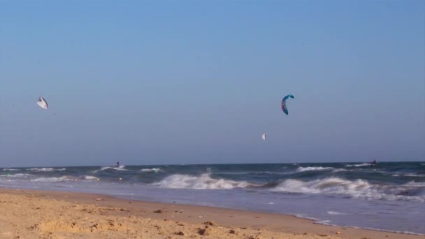 Kitesurf aşağı rüzgar ve serbest stile — Stok video