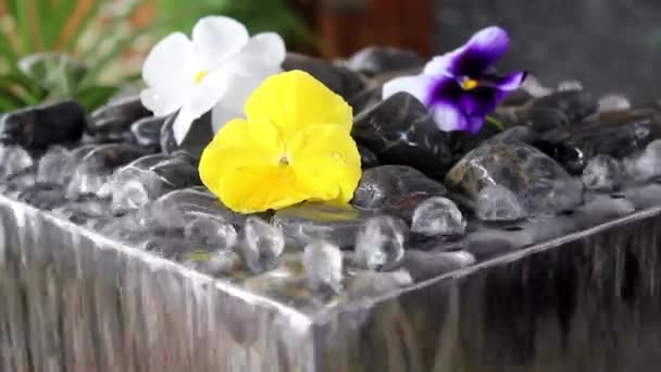 Інтер'єр декоративного фонтану Дзен, деталь води, що тече — стокове відео