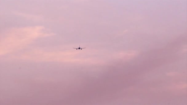 Flugreisen - Silhouette von Flugzeug und Sonnenuntergang — Stockvideo