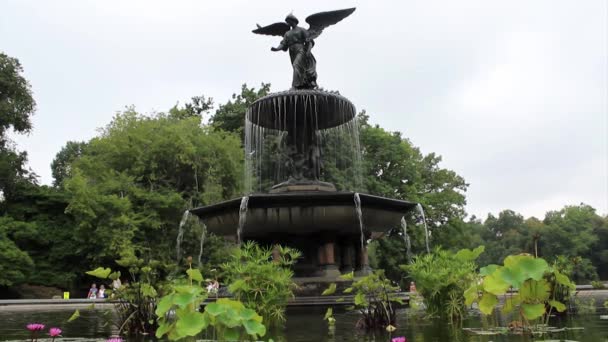 Storica terrazza Bethesda a Central Park — Video Stock