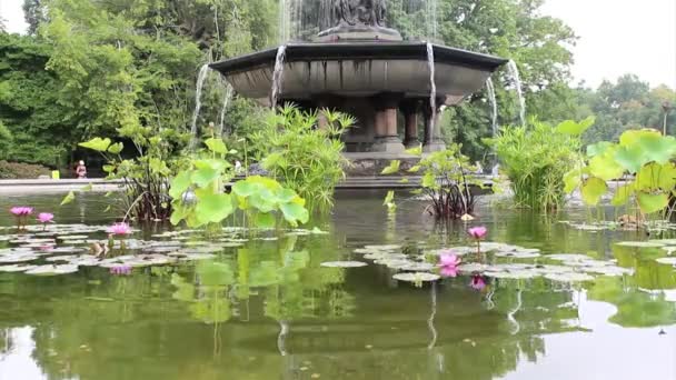 Terraço Bethesda histórico no Central Park — Vídeo de Stock