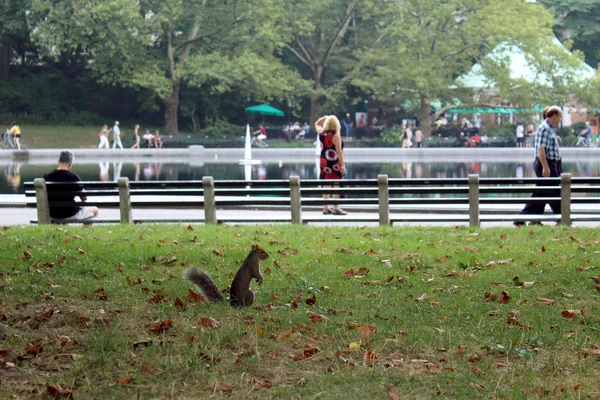 Personas en Central Park, Nueva York — Foto de Stock