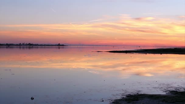 Ηλιοβασίλεμα στο ria formosa φυσικό διατήρησης περιοχή Γουίτ cabo de santa maria Φάρος (farol νησί) στο το φόντο, algarve, Πορτογαλία. — Αρχείο Βίντεο