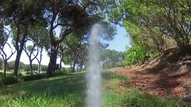 Garden Irrigation Sprinkler watering lawn (Point of View footage) — Stock Video