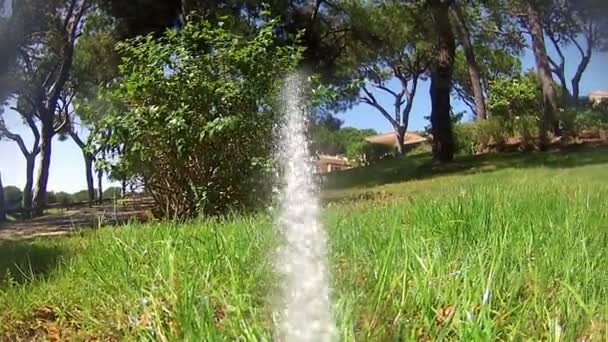 Garden Irrigation Sprinkler watering lawn (Point of View footage) — Stock Video