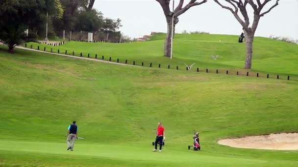 Algarve golfpálya táj a ria formosa természetvédelmi marsh — Stock videók