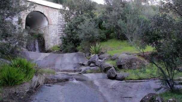Monchique pure fresh mountain water stream. Algarve. Portugal — Stock Video