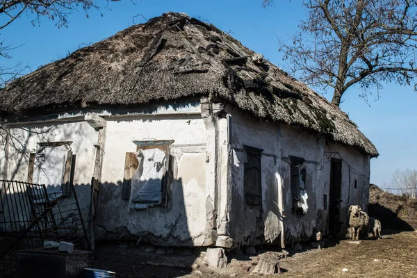 村の古いウクライナの農民の家 — ストック写真