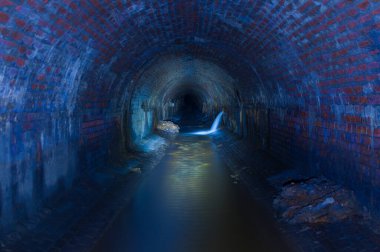 Neglinka Nehri Koleksiyoncusu, Moskova