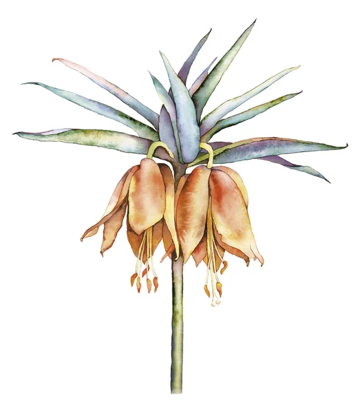 Akvarell med lilias — Stockfoto