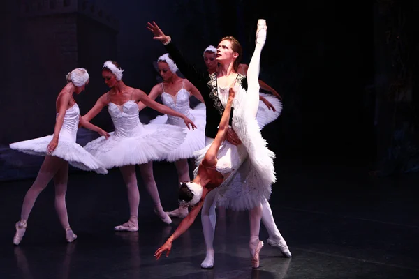 Swan Lake — Stock Photo, Image