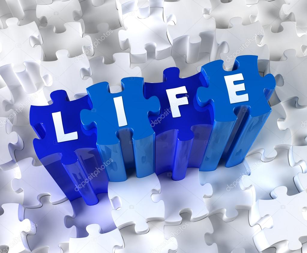 Creative 3D pieces of puzzle and word Life