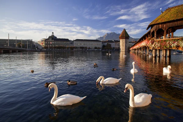 Lucerne, Swiss, Jembatan Kapel — Stok Foto