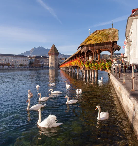 Luzern, die Kapellenbrücke — Stockfoto
