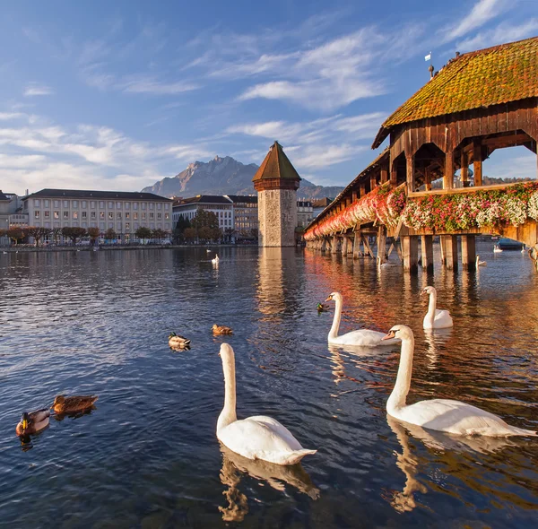 Luzern, die Kapellenbrücke — Stockfoto