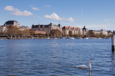 Lake Zurich