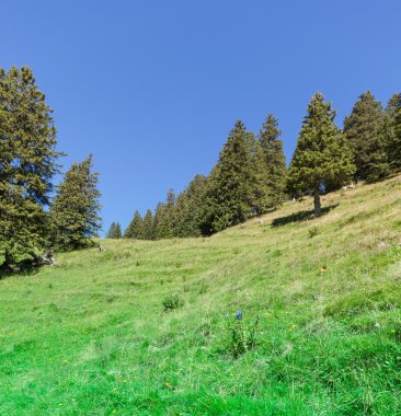 Eylül ayında İsviçre Alpleri