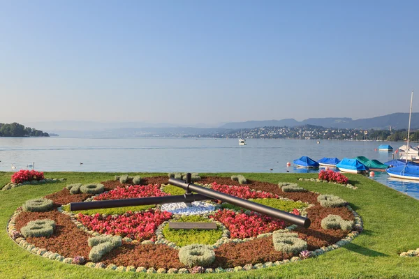 Lake Zurich — Stock Photo, Image