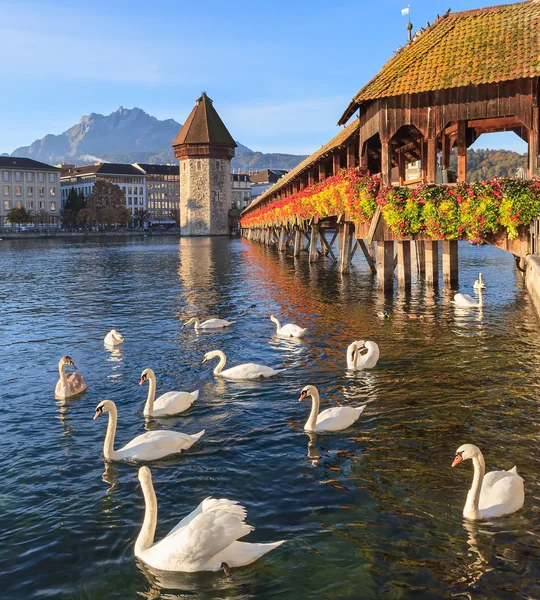 Luzern, Herbstmorgen — Stockfoto