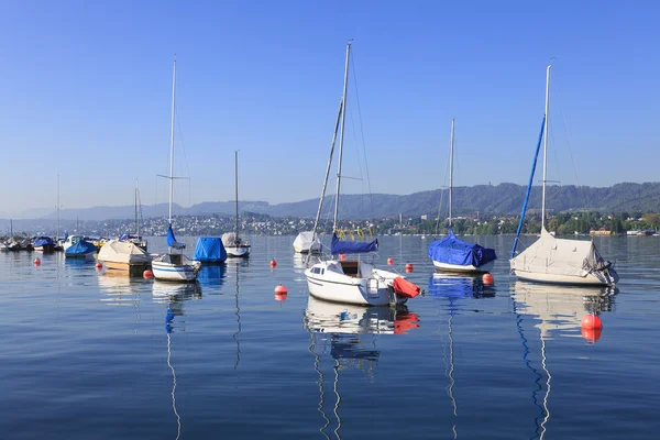 Lake Zurich — Stock Photo, Image