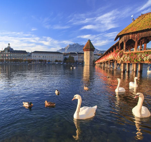 Luzern, die Kapellenbrücke am frühen Morgen — Stockfoto