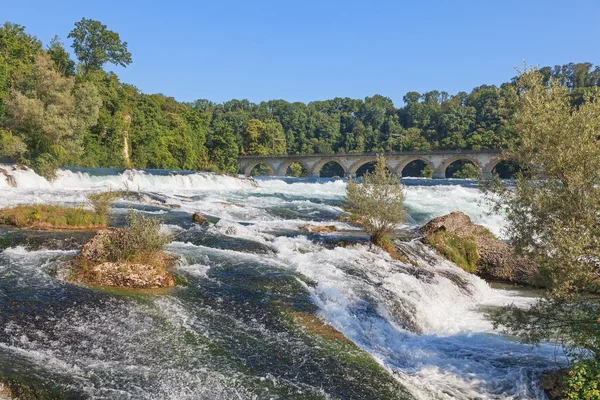 Rhine faller i sommar — Stockfoto