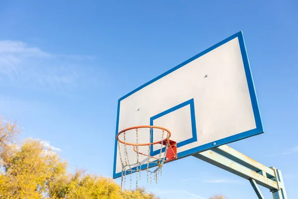 Basketball Hoop Latar Belakang Pohon Kuning Musim Gugur Stok Lukisan  