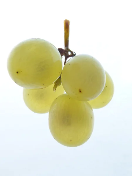 Um bando de uvas maduras — Fotografia de Stock