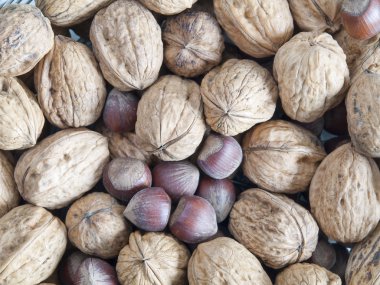 ceviz ve fındık kabuğu