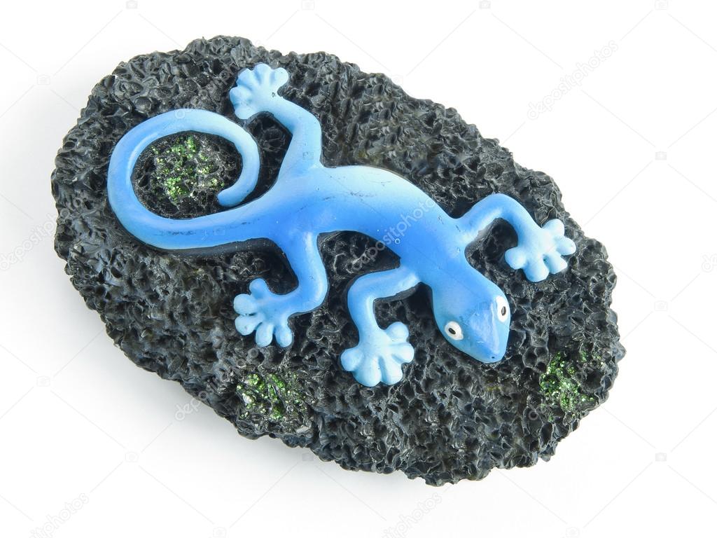 Rock lizard on a blue background